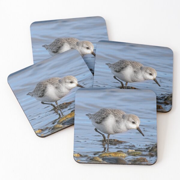 Item preview, Cute Sanderling Wanders a Winter Beach designed and sold by walkswithnature.