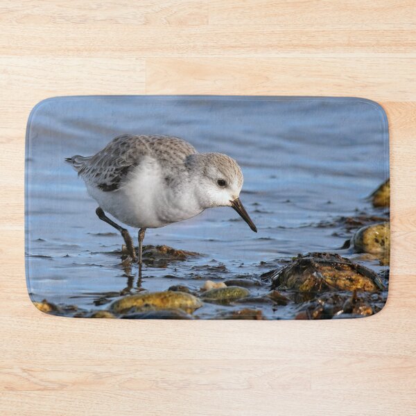 Item preview, Cute Sanderling Wanders a Winter Beach designed and sold by walkswithnature.