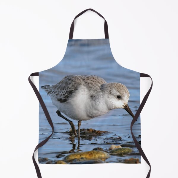 Item preview, Cute Sanderling Wanders a Winter Beach designed and sold by walkswithnature.
