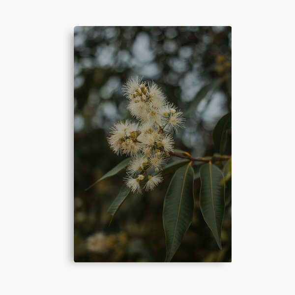 Item preview, Boundless designed and sold by IdleImages.