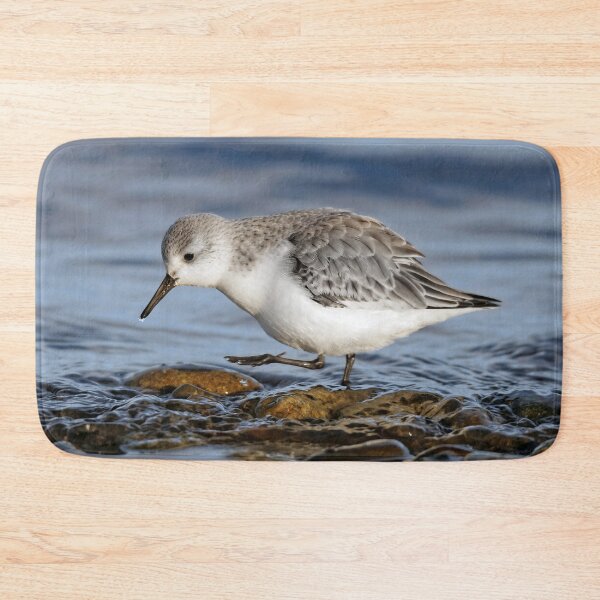 Item preview, Cute Sanderling Traipses on Shoreline Rocks designed and sold by walkswithnature.