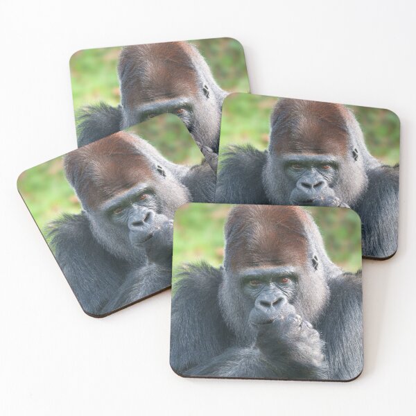 Item preview, Piercing Gaze of a Silverback Gorilla designed and sold by rawshutterbug.