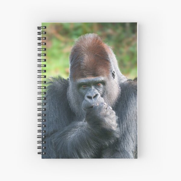 Item preview, Piercing Gaze of a Silverback Gorilla designed and sold by rawshutterbug.