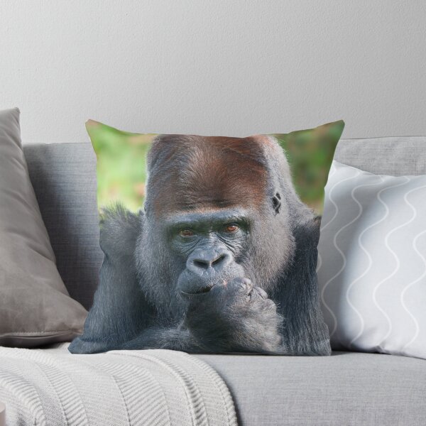 Item preview, Piercing Gaze of a Silverback Gorilla designed and sold by rawshutterbug.