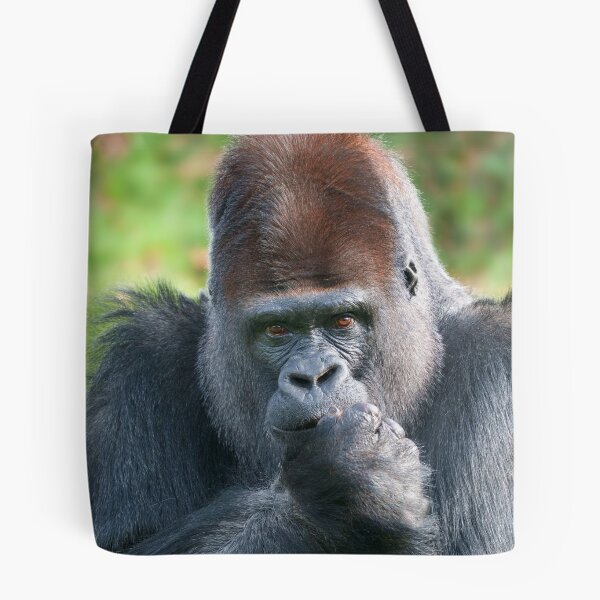 Item preview, Piercing Gaze of a Silverback Gorilla designed and sold by rawshutterbug.