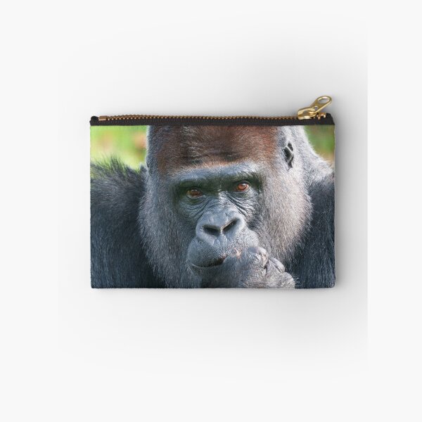 Item preview, Piercing Gaze of a Silverback Gorilla designed and sold by rawshutterbug.