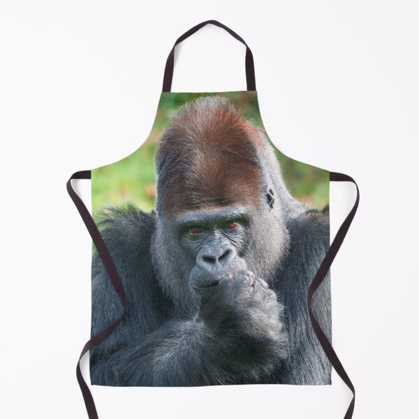 Item preview, Piercing Gaze of a Silverback Gorilla designed and sold by rawshutterbug.