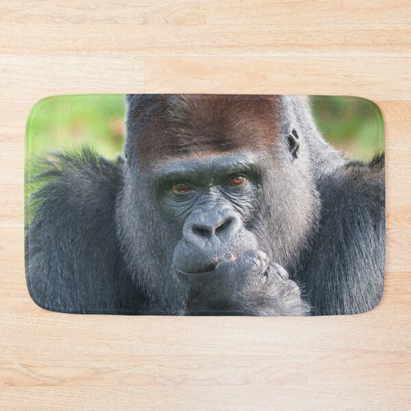 Item preview, Piercing Gaze of a Silverback Gorilla designed and sold by rawshutterbug.