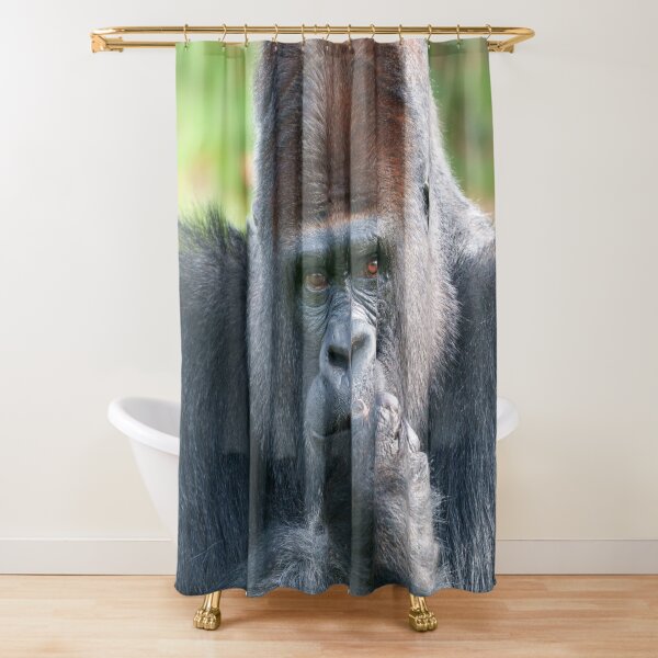 Item preview, Piercing Gaze of a Silverback Gorilla designed and sold by rawshutterbug.