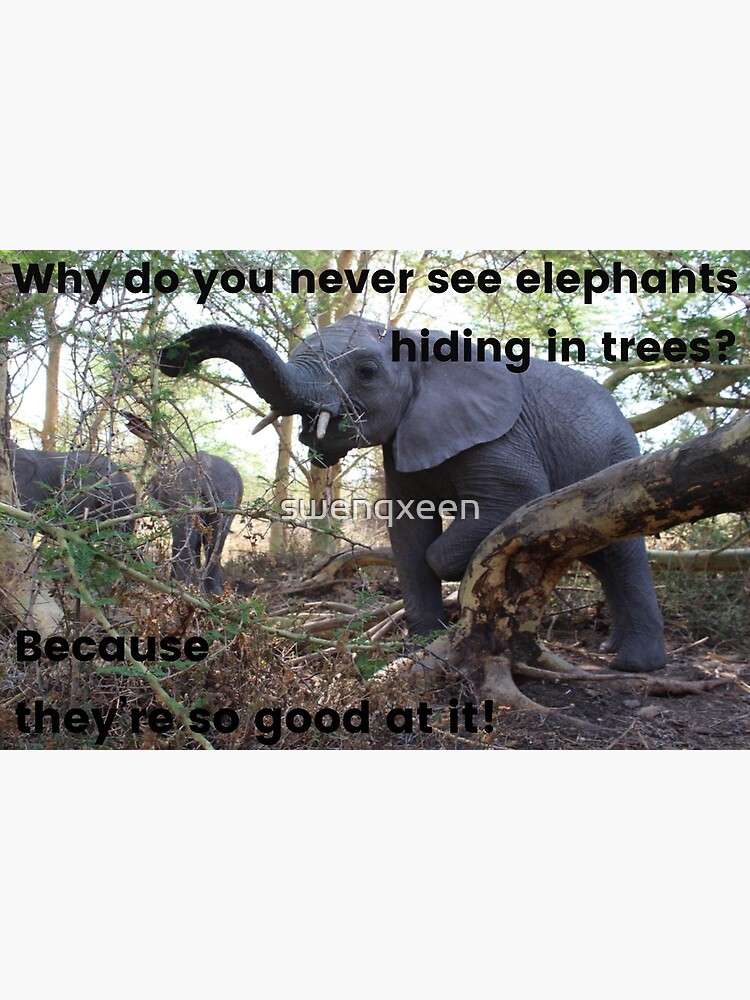 Hiding trees in elephants never you see do why How come