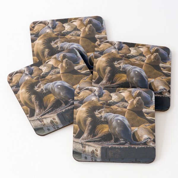 Item preview, Sea Lions at Fisherman's Wharf designed and sold by jrtwynam.
