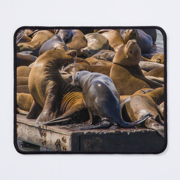 Item preview, Sea Lions at Fisherman's Wharf designed and sold by jrtwynam.