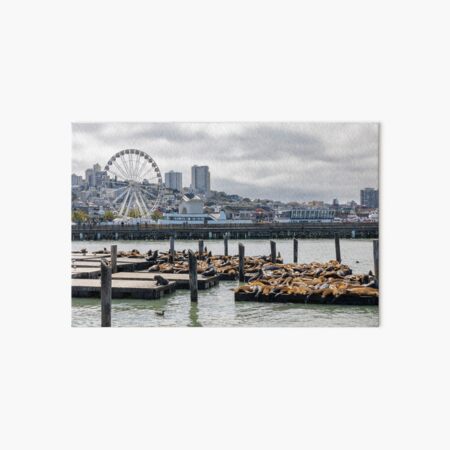 Item preview, Sea Lions at Fisherman's Wharf 2 designed and sold by jrtwynam.
