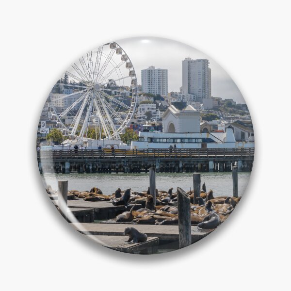 Item preview, Leones marinos en Fisherman's Wharf 2 designed and sold by jrtwynam.