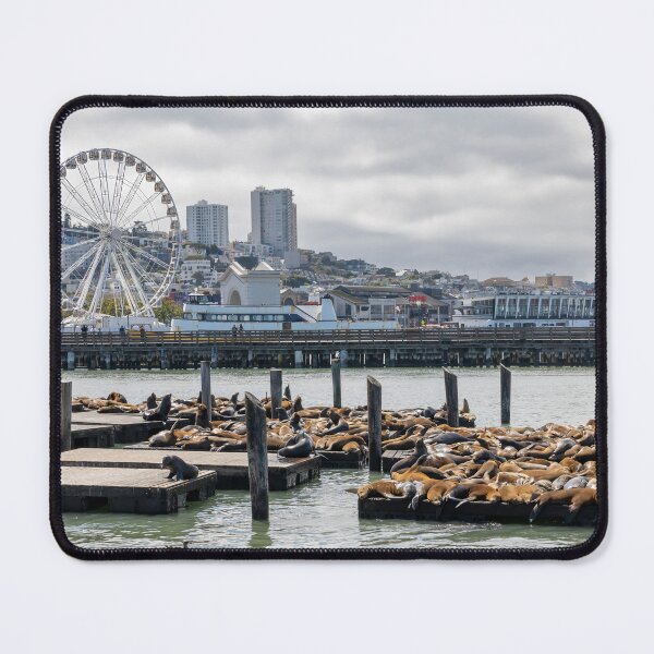 Item preview, Sea Lions at Fisherman's Wharf 2 designed and sold by jrtwynam.