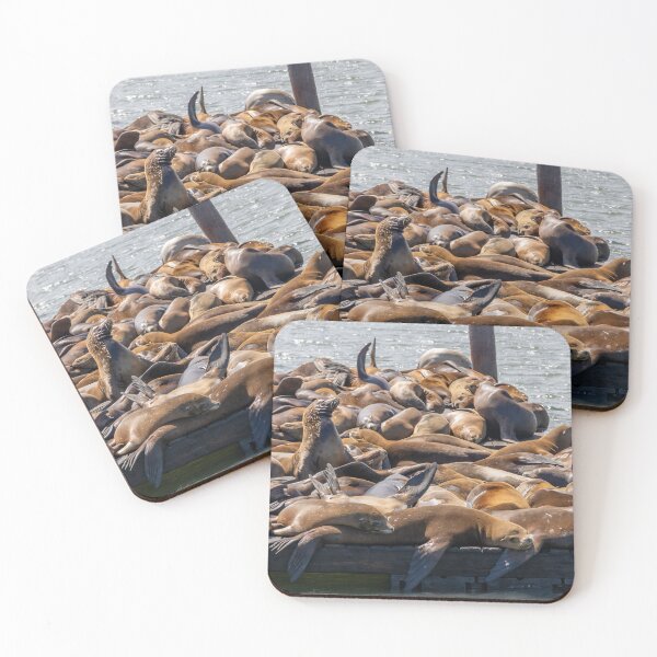 Item preview, Sea Lions at Fisherman's Wharf 3 designed and sold by jrtwynam.