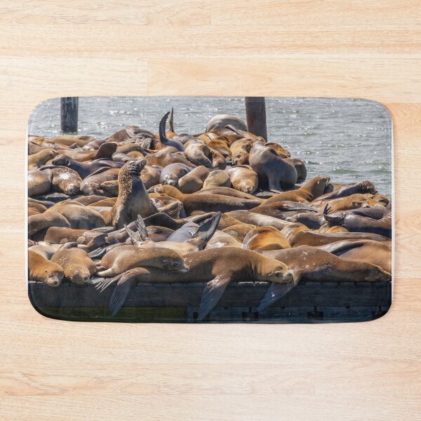 Item preview, Sea Lions at Fisherman's Wharf 3 designed and sold by jrtwynam.