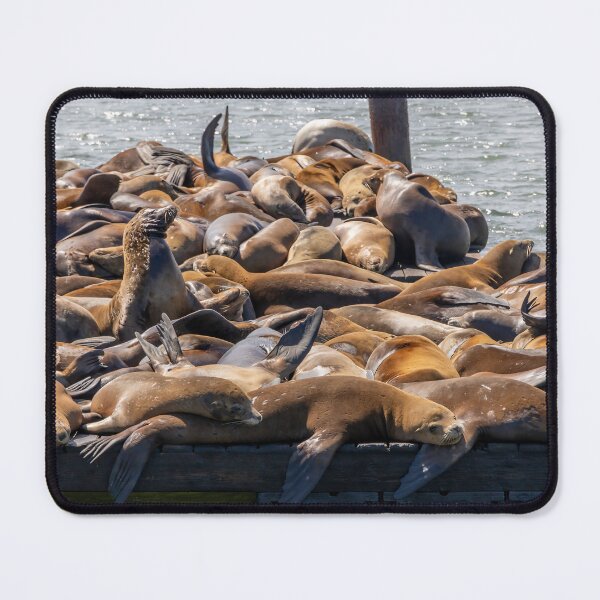 Item preview, Sea Lions at Fisherman's Wharf 3 designed and sold by jrtwynam.