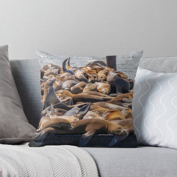 Item preview, Sea Lions at Fisherman's Wharf 3 designed and sold by jrtwynam.