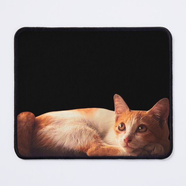 Item preview, Curious Cat designed and sold by ureggie.