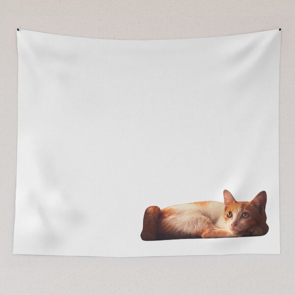 Item preview, Curious Cat designed and sold by ureggie.