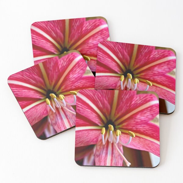 Artikelvorschau, Strahlende Amaryllis entworfen und verkauft von Betsy Phillips.