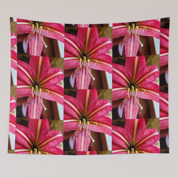 Item preview, Radiant Amaryllis designed and sold by Betsy Phillips.