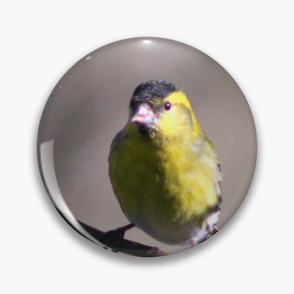 Item preview, siskin designed and sold by KathleenDawson.