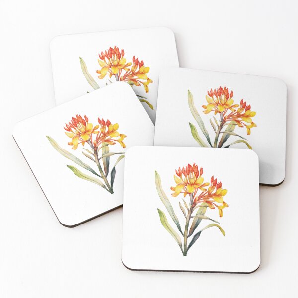 Item preview, Native Australian Watercolor Flower, Kangaroo Paw (Anigozanthos) designed and sold by PapuruDesigns.