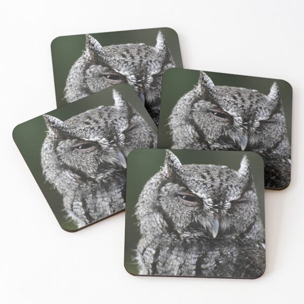 Item preview, Screech Owl Head designed and sold by MercerImages.