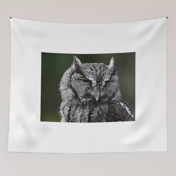 Item preview, Screech Owl Head designed and sold by MercerImages.