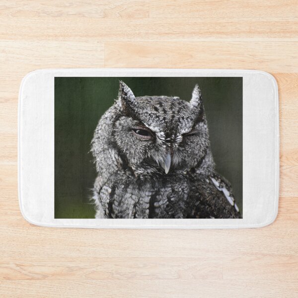 Item preview, Screech Owl Head designed and sold by MercerImages.