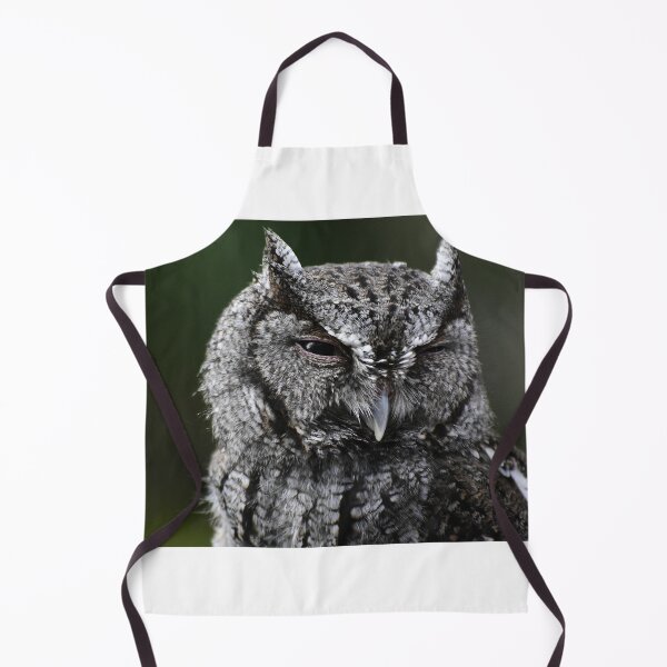 Item preview, Screech Owl Head designed and sold by MercerImages.