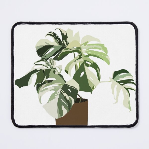 Item preview, Monstera Deliciosa Variegata in pot designed and sold by Annabergert.