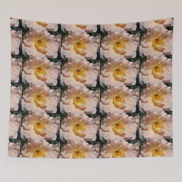 Item preview, Bee at Work, Open Garden, Canberra, Australia. designed and sold by kaysharp.