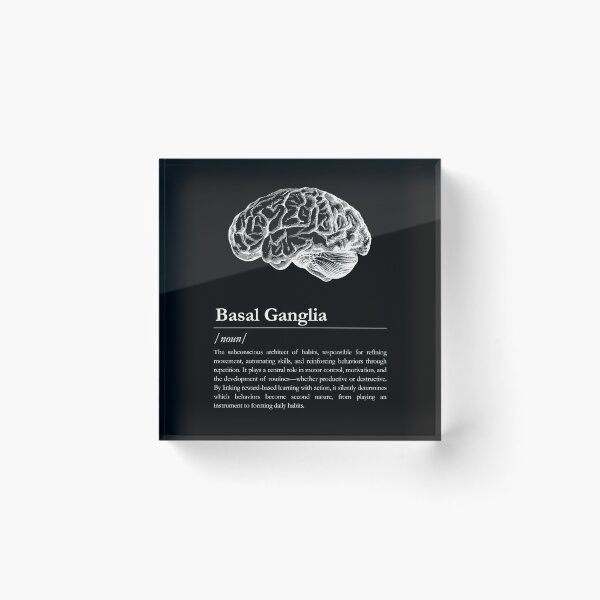 Item preview, Basal Ganglia - Minimalistic Neurology Design designed and sold by felixpauli.