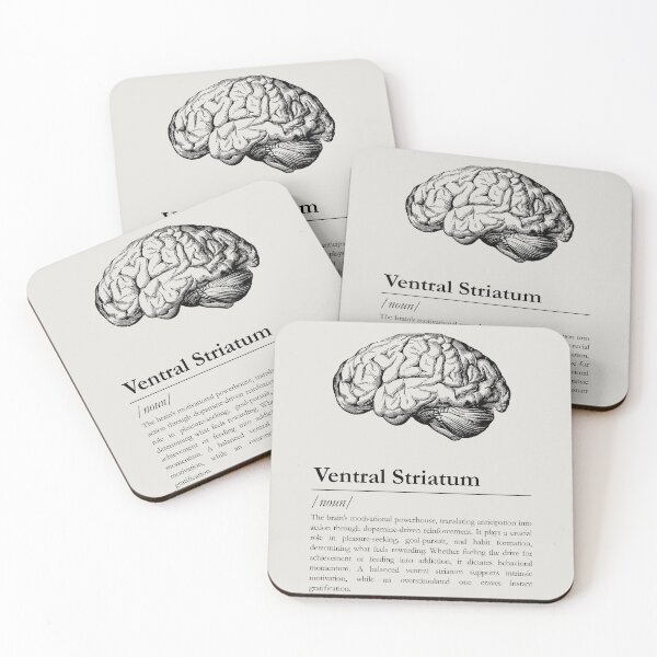 Item preview, Ventral Striatum - Minimalistic Neurology Design designed and sold by felixpauli.