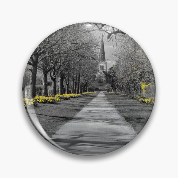 Item preview, Wentworth Church Daffodils designed and sold by Alisonchambers2.