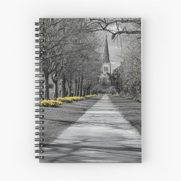 Item preview, Wentworth Church Daffodils designed and sold by Alisonchambers2.
