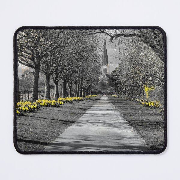 Item preview, Wentworth Church Daffodils designed and sold by Alisonchambers2.