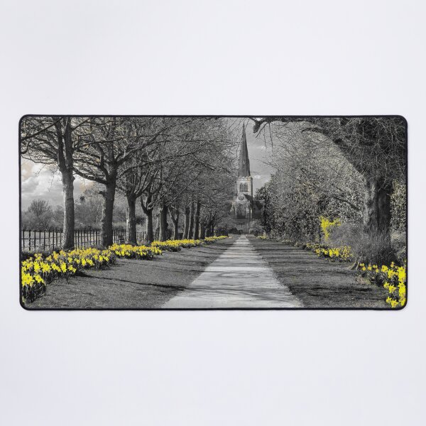 Item preview, Wentworth Church Daffodils designed and sold by Alisonchambers2.