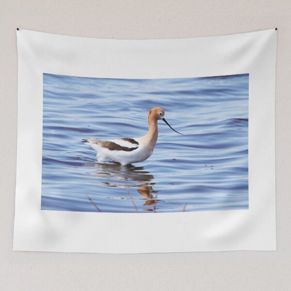Item preview, American Avocet designed and sold by Alyce Taylor.