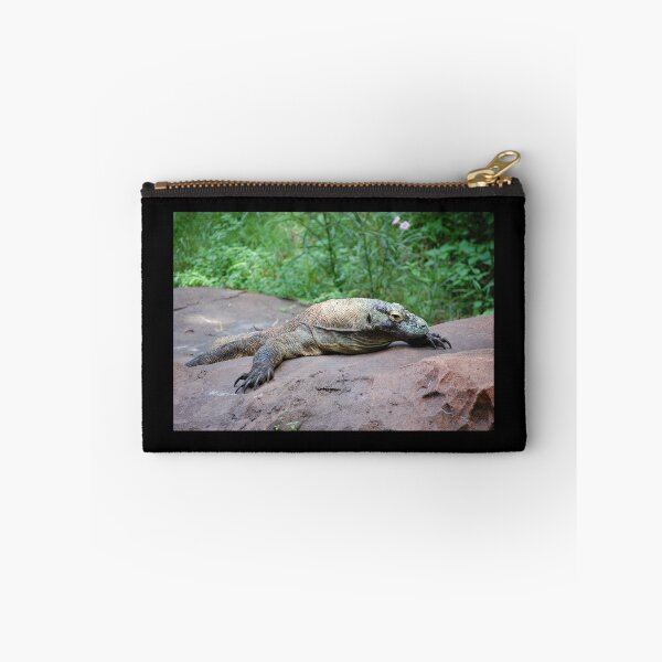 Item preview, Komodo designed and sold by CreativeSoup.