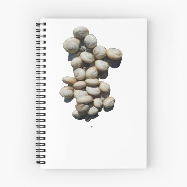 Item preview, snail cluster designed and sold by Kalhanne.