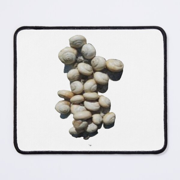 Item preview, snail cluster designed and sold by Kalhanne.