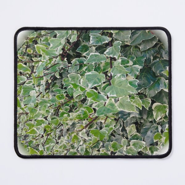 Item preview, botanical bubble ivy designed and sold by Kalhanne.