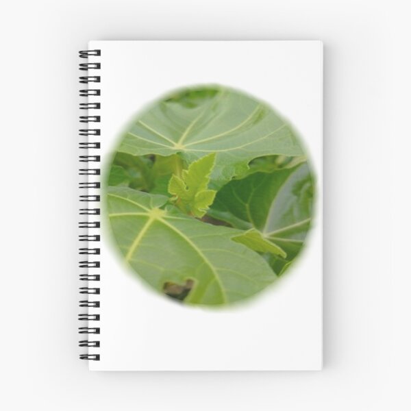 Item preview, bubble botanical fig leaf designed and sold by Kalhanne.