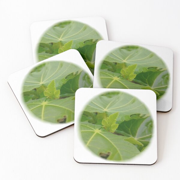 Item preview, bubble botanical fig leaf designed and sold by Kalhanne.