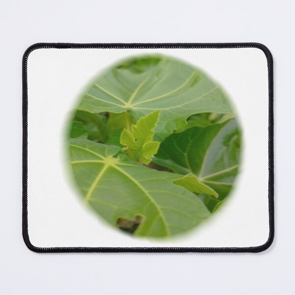 Item preview, bubble botanical fig leaf designed and sold by Kalhanne.