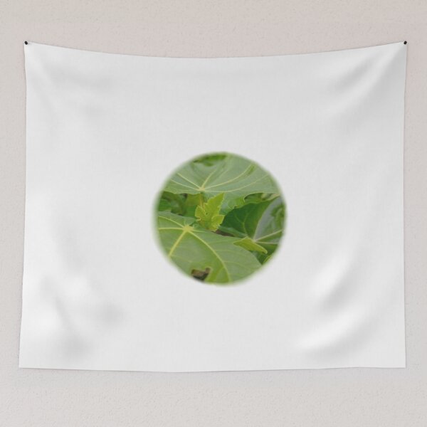 Item preview, bubble botanical fig leaf designed and sold by Kalhanne.